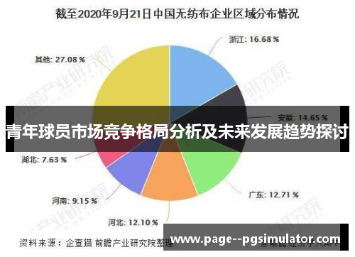 青年球员市场竞争格局分析及未来发展趋势探讨 青年球员市场竞争格局分析及未来发展趋势探讨